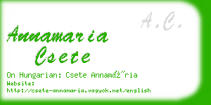 annamaria csete business card